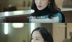 娱乐圈吃瓜唱歌小说,瓜田歌声，爱恨情仇